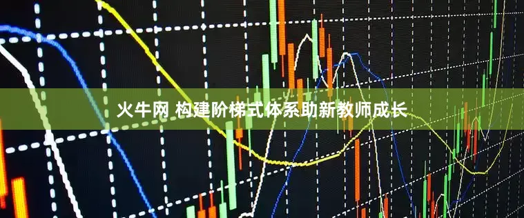 火牛网 构建阶梯式体系助新教师成长