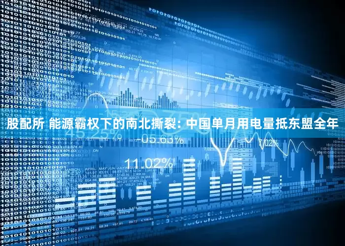 股配所 能源霸权下的南北撕裂: 中国单月用电量抵东盟全年