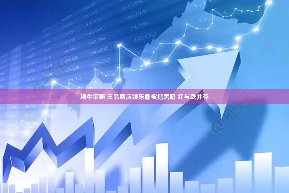 珺牛策略 王晶回应娱乐圈被指黑暗 红与跌并存