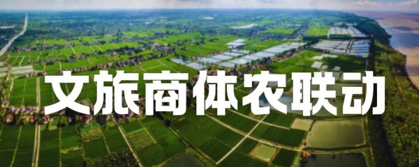 配资坊 【线路推荐】赴一场崇明秋日之约，“森”呼吸，“林”距离
