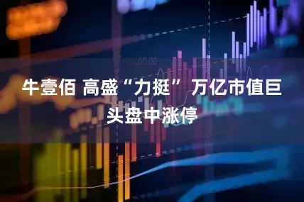 牛壹佰 高盛“力挺” 万亿市值巨头盘中涨停
